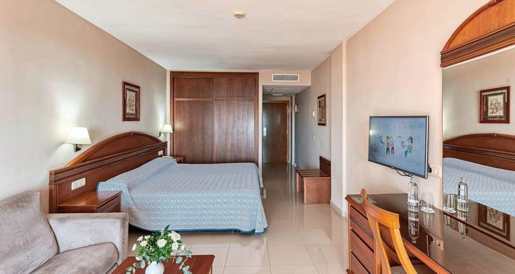 Intérieur d'une chambre d'hôtel avec un lit, un canapé et une télévision.