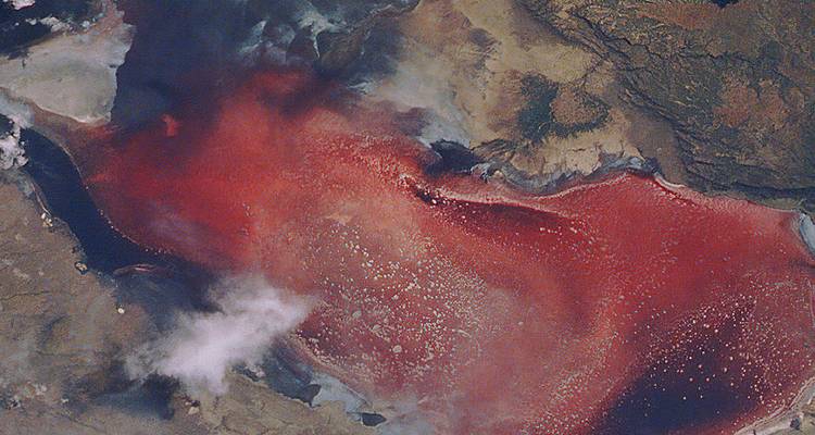 Luftaufnahme eines rotgefärbten Salzsees.