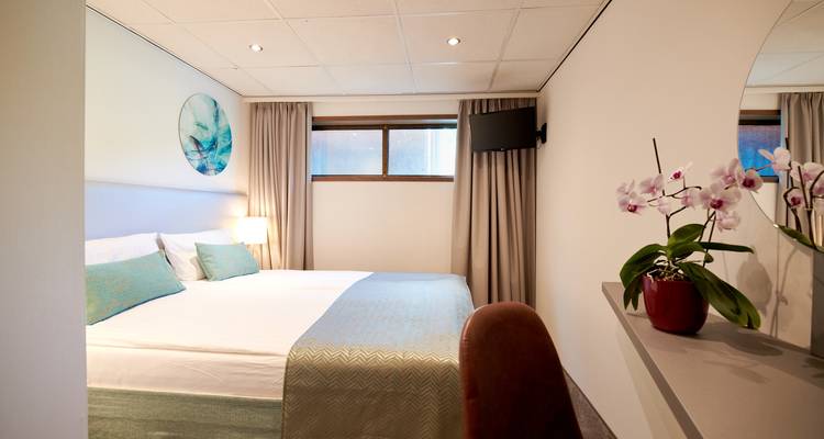Chambre d'hôtel avec lit, décoration et une petite plante.