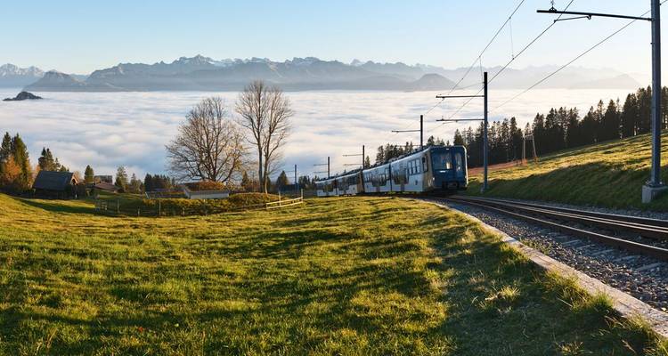 A train traversing a lush grassy landscape with mountains in the distance.