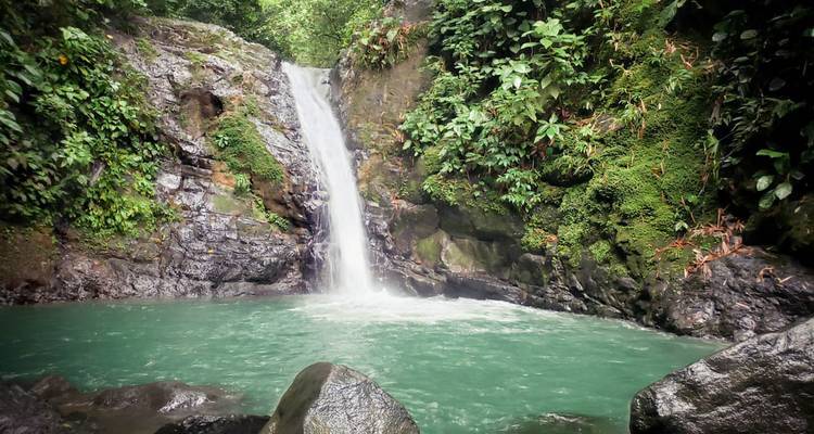 A beautiful waterfall surrounded by lush green vegetation.