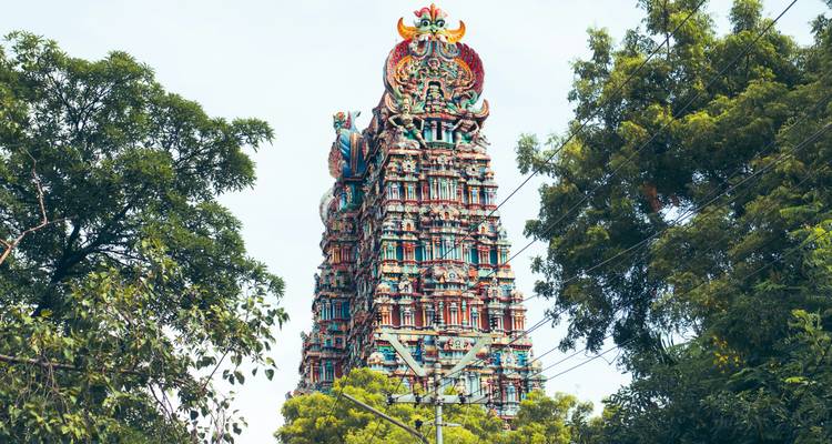 Colorful temple tower surrounded by tall trees under a clear sky.