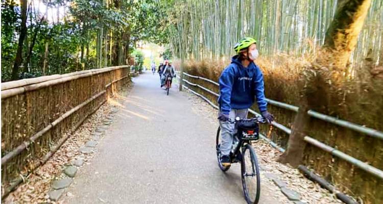 Des cyclistes traversant une bambouseraie.