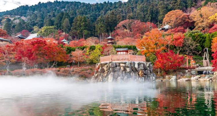 Vue d'automne d'un étang avec des érables rouges et de la brume.