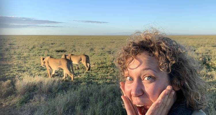 A surprised woman looking at two lions on the grassland.