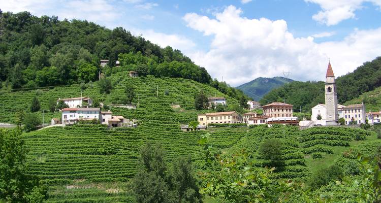 Une colline pittoresque avec des vignobles et un petit village.