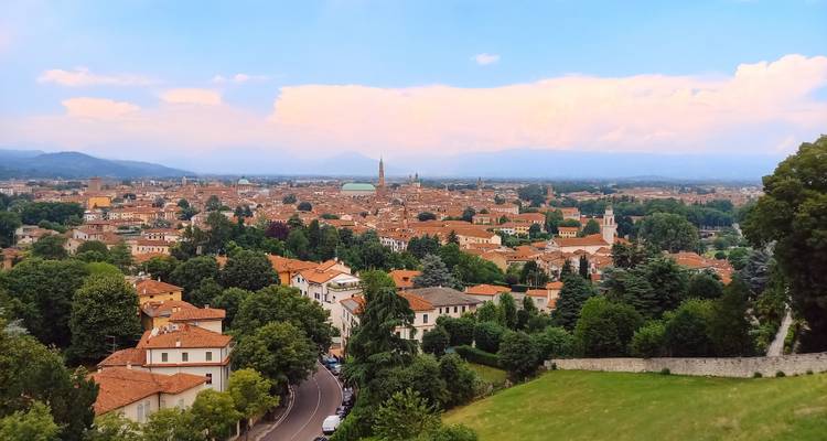 Une vue panoramique d'une ville avec un dôme proéminent et des arbres.