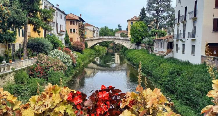 Une scène de rivière sereine avec un pont de pierre pittoresque entouré de fleurs colorées.