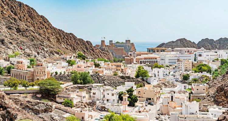 Vue aérienne de la ville de Mascate avec les montagnes.
