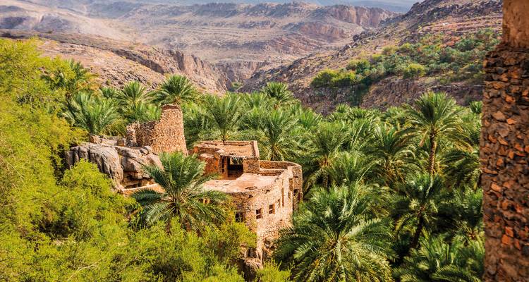 Ruines dans une palmeraie avec des falaises rocheuses.