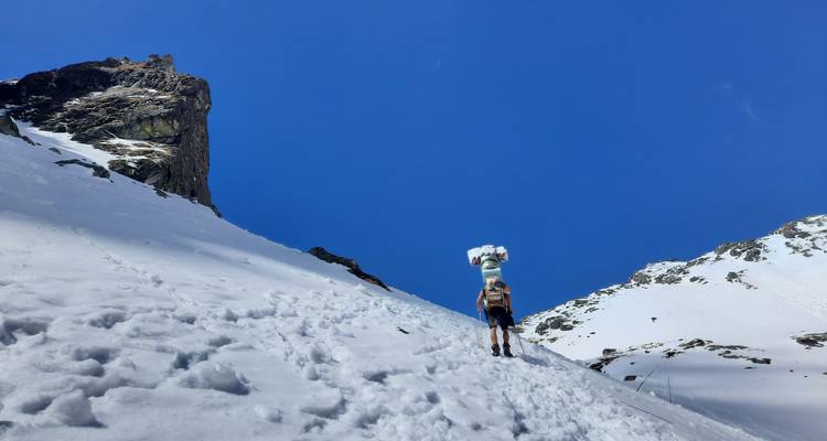 Person hiking up a snowy hillside with a large load on their back.