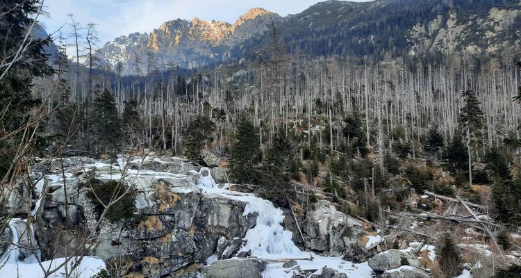 Partially frozen waterfall in a forest with distant mountain view.