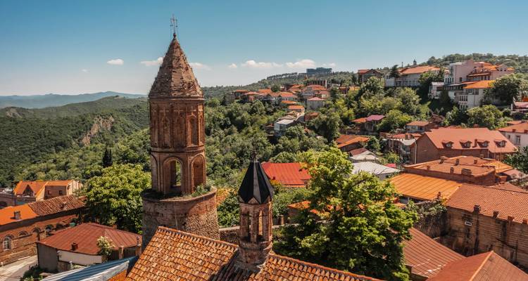 Schilderachtig uitzicht op een stad met rode daken en weelderig groen.