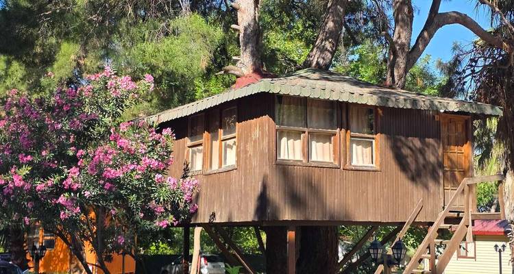 Rustieke houten boomhut nesteld tussen bloeiende bomen en hoge pijnbomen.