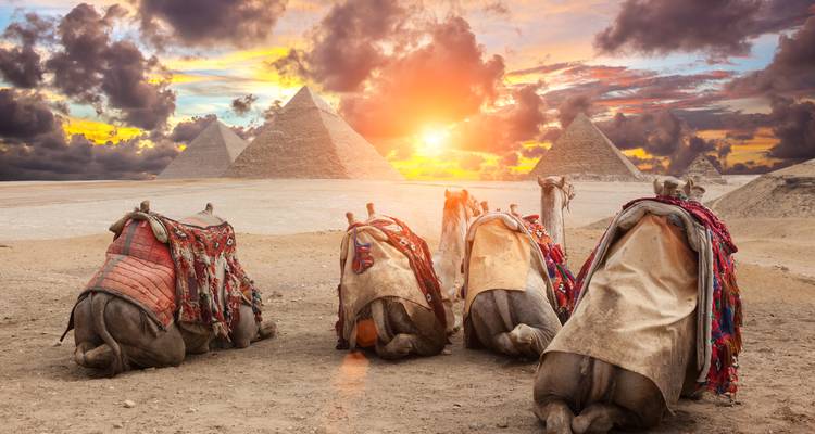 Los camellos de rodillas descansan ante las Pirámides de Giza mientras el sol se pone entre nubes espectaculares.