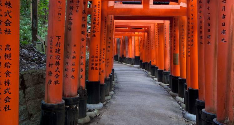 Pathway through rows of red torii gates.