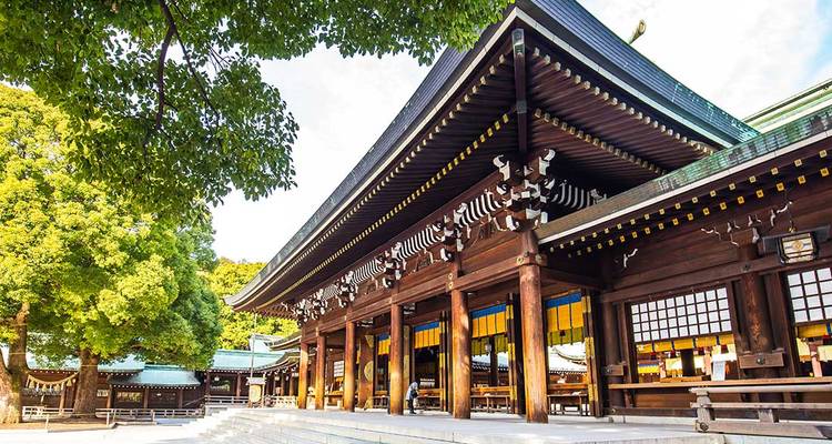 Traditional Japanese temple surrounded by green trees.