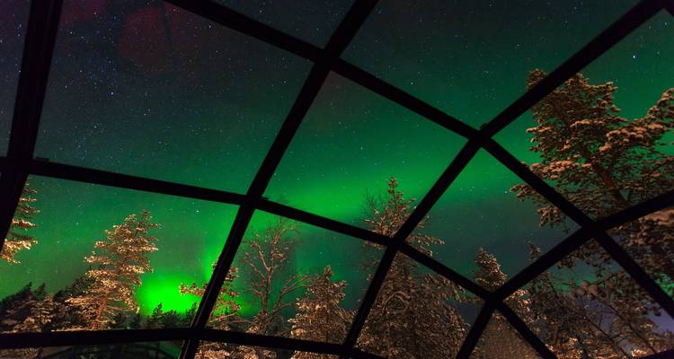 Aurora Borealis observed through glass windows with trees underneath.