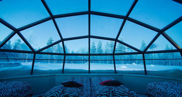 Interior of a glass igloo in a snowy landscape.