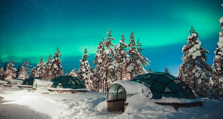 Aurora Borealis over snow-covered glass igloos and trees.
