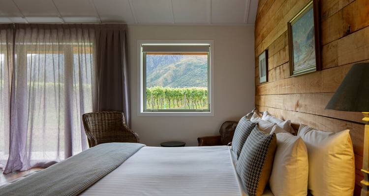 Dormitorio acogedor con vista a un viñedo.