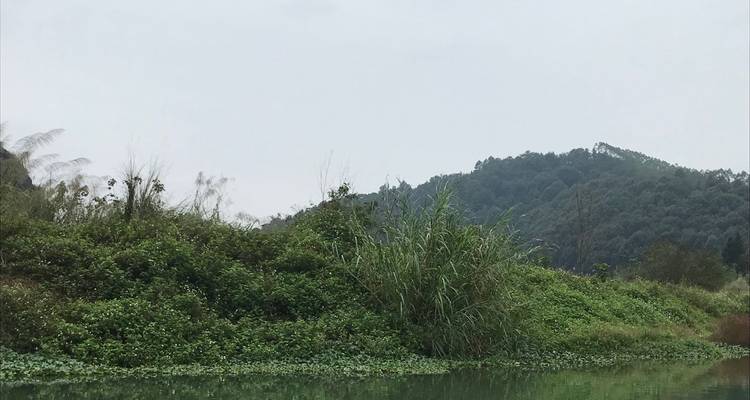 Dichte begroeiing en heuvels die reflecteren in een kalm waterlichaam.