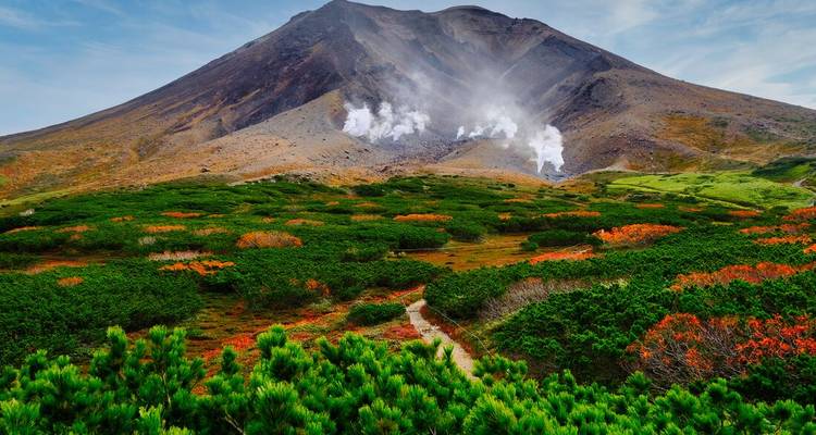 Des évents volcaniques fumants s'élèvent des pentes d'une montagne escarpée entourée d'arbustes alpins colorés.