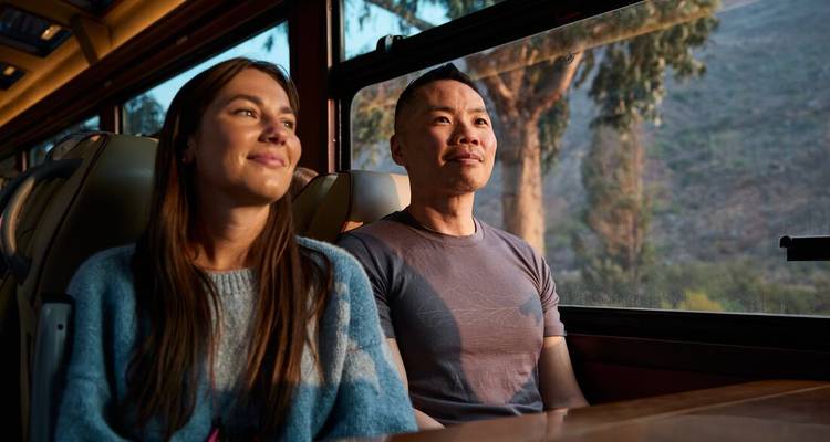Deux personnes profitant d'une vue panoramique depuis un train.