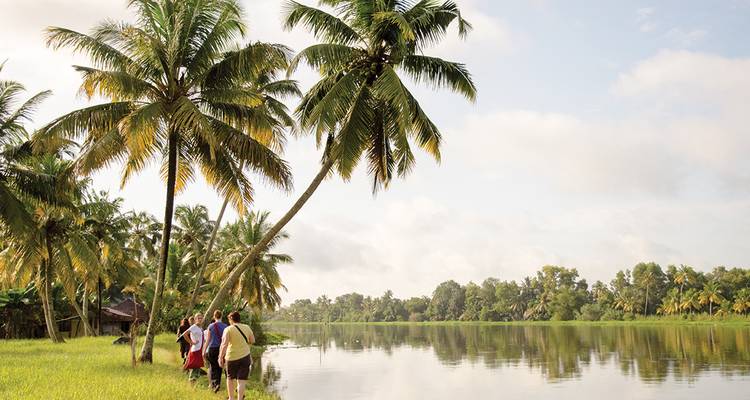 Groep mensen die langs een met palmbomen omzoomde oever van een meer wandelt.
