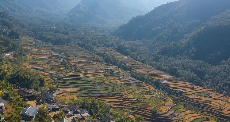 Terrasvormige groene velden in een bergachtig landschap.