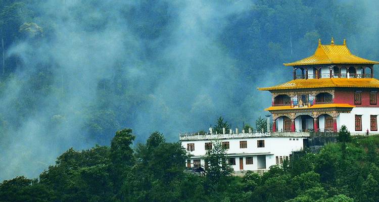 Een tempel met een gouden dak gelegen in een bosgebied.