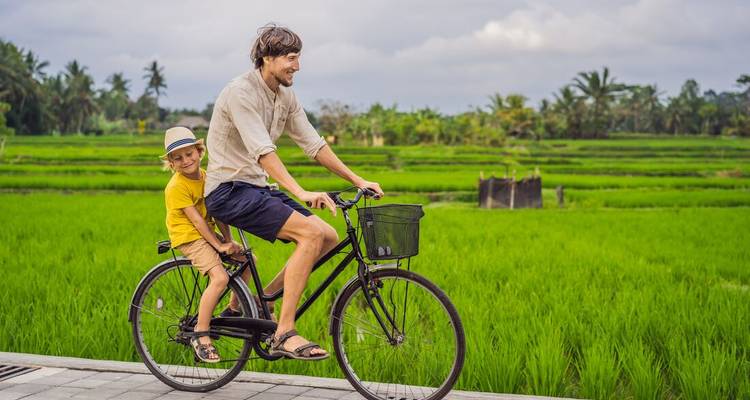 Homme et enfant à vélo dans des rizières vertes.