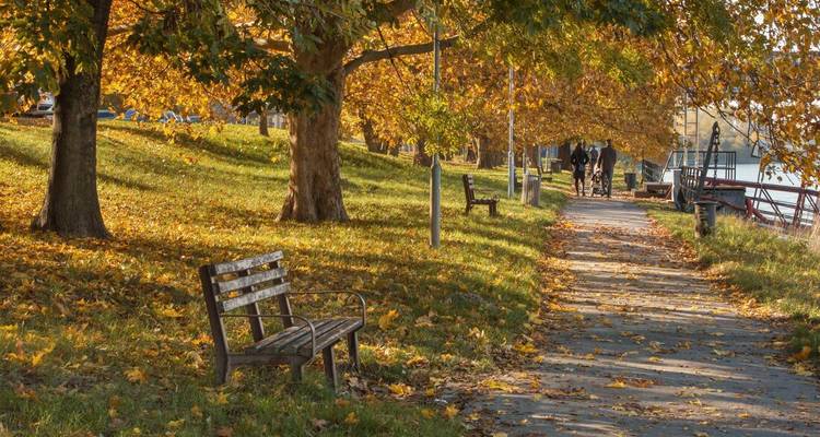 Allée de parc d'automne avec des personnes qui marchent.