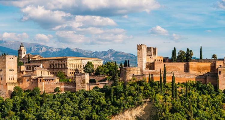 Complexe palatial de l'Alhambra avec des arbres.