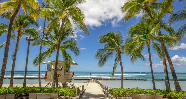 Palmiers au bord de la plage avec un poste de secours.