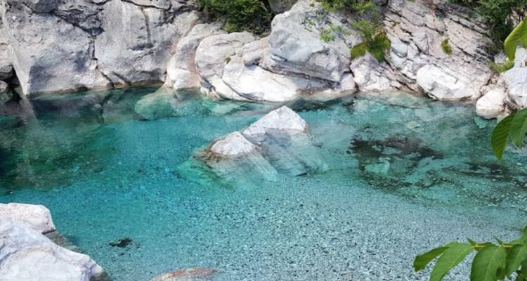 Eau peu profonde et claire avec des roches et du feuillage.