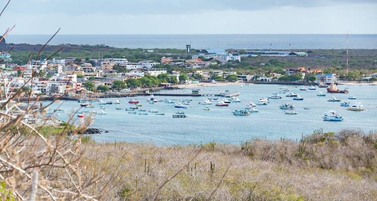 Coastal view of a town with numerous boats on the water.
