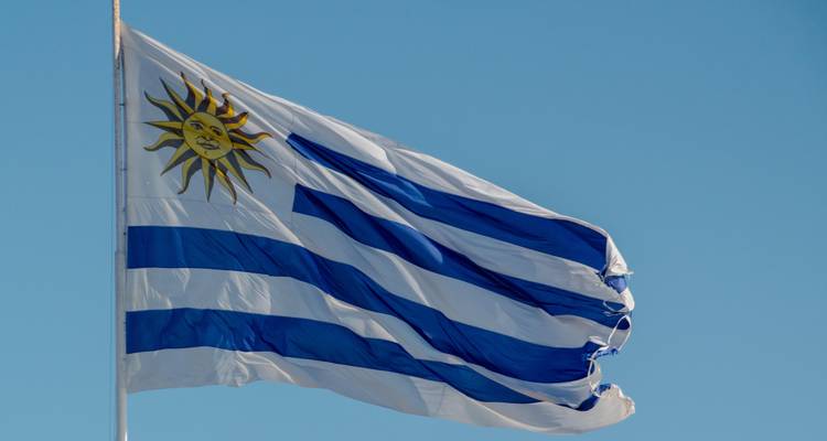 Flag of Uruguay waving against a clear blue sky.