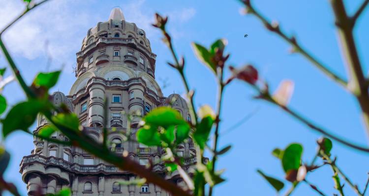 A detailed view of a historical building through foliage.