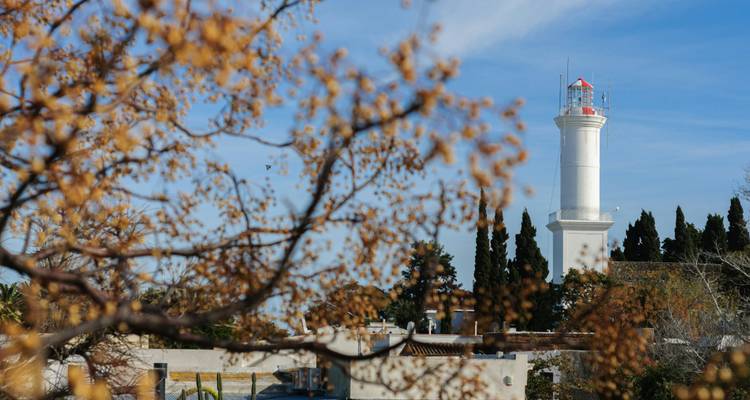 A lighthouse framed by foliage on a clear day.