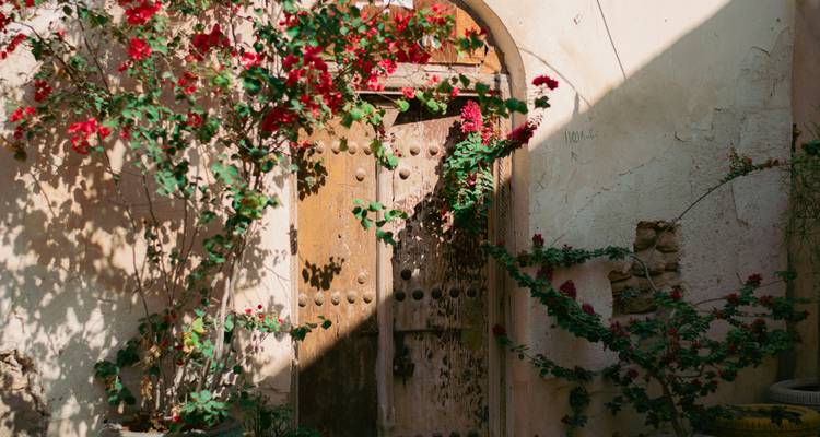 An ornate doorway covered with flowering vines.