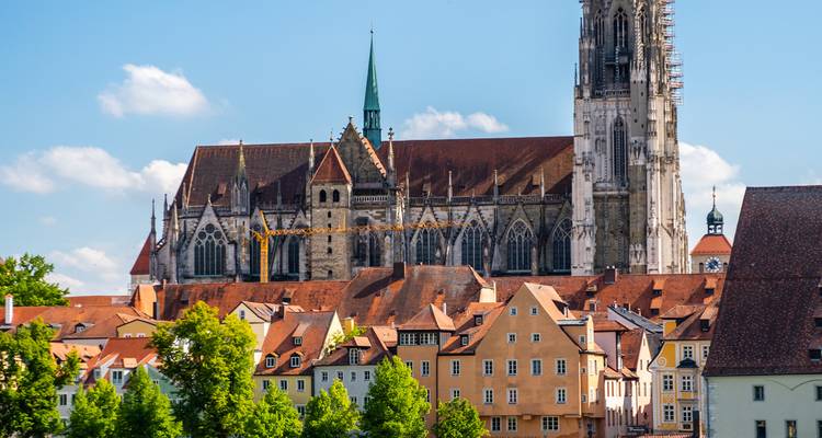 Catedral gótica con un telón de fondo de tejados europeos tradicionales.