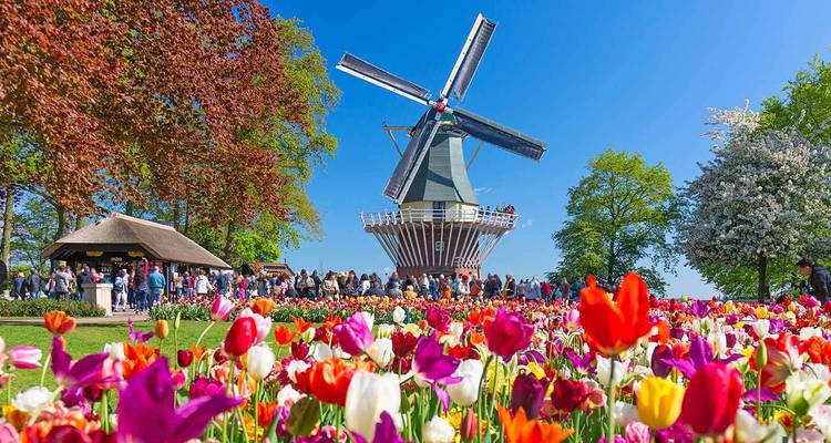 Des tulipes colorées devant un moulin à vent traditionnel dans un cadre de parc.