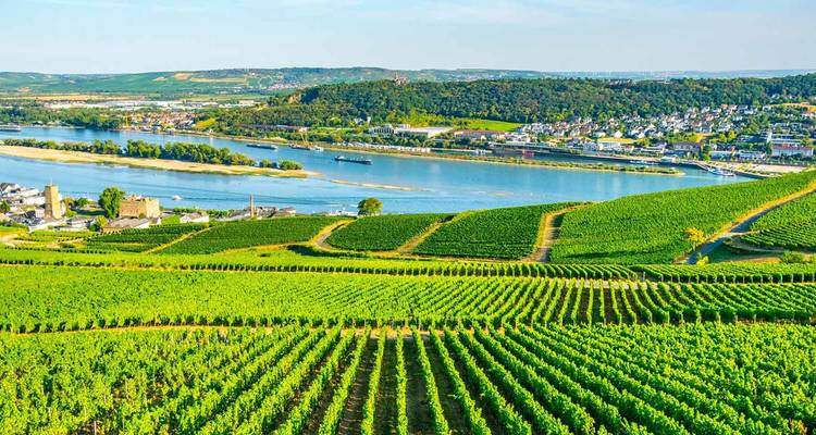 Vignobles surplombant une rivière avec des collines en arrière-plan.