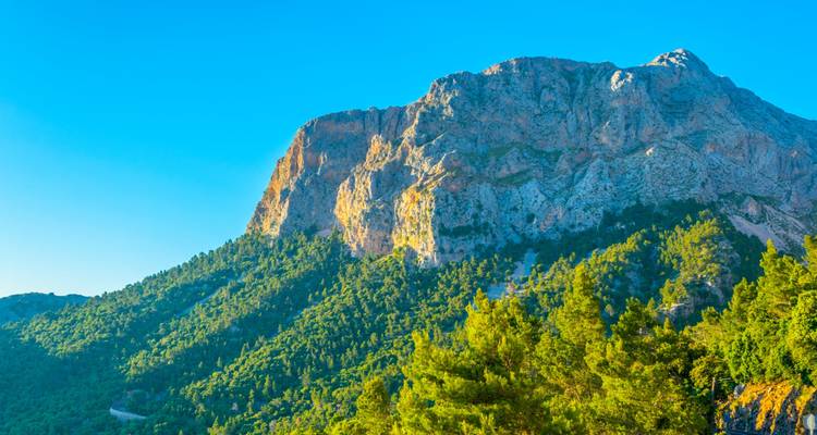 Paroi rocheuse de montagne s'élevant au-dessus d'une dense forêt de pins sous un ciel bleu dégagé.
