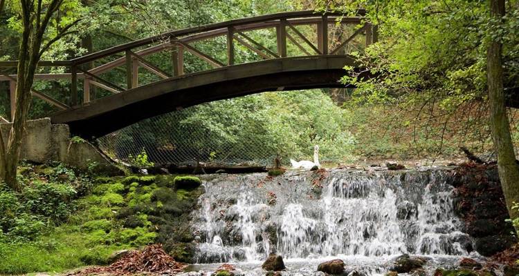 Pont pittoresque au-dessus d'une cascade avec une végétation luxuriante.