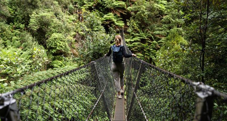 Person walking on a suspended bridge in a dense forest.