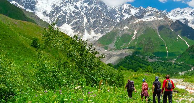 Group hiking in a lush green landscape with mountains.
