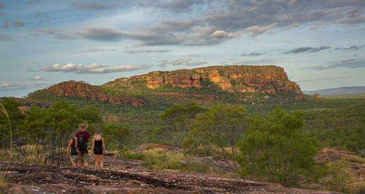 Randonneurs surplombant un paysage avec un plateau et une végétation luxuriante.