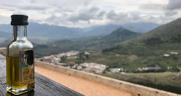 Pequeña botella de aceite de oliva local en la barandilla de una terraza con vista a las montañas andaluzas envueltas en niebla